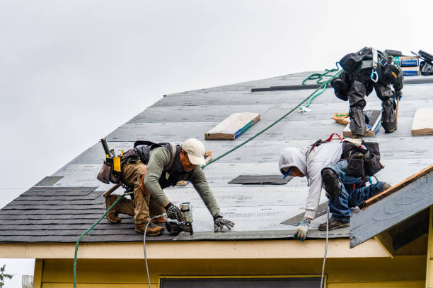 Professional Gutter Installation technician working in Potsdam, OH